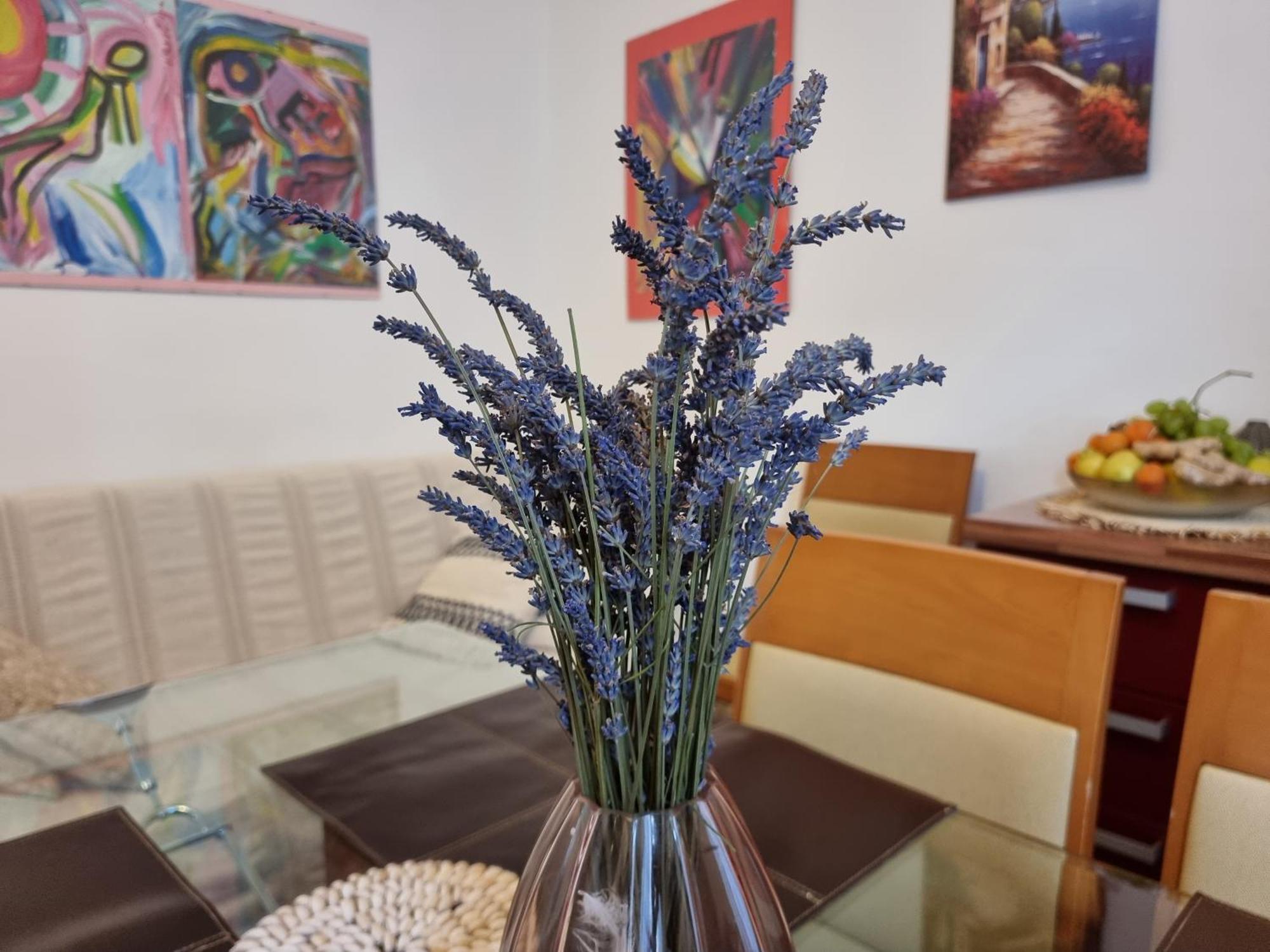 ***Apartment Magic &Summervibes*** Rijeka Luaran gambar