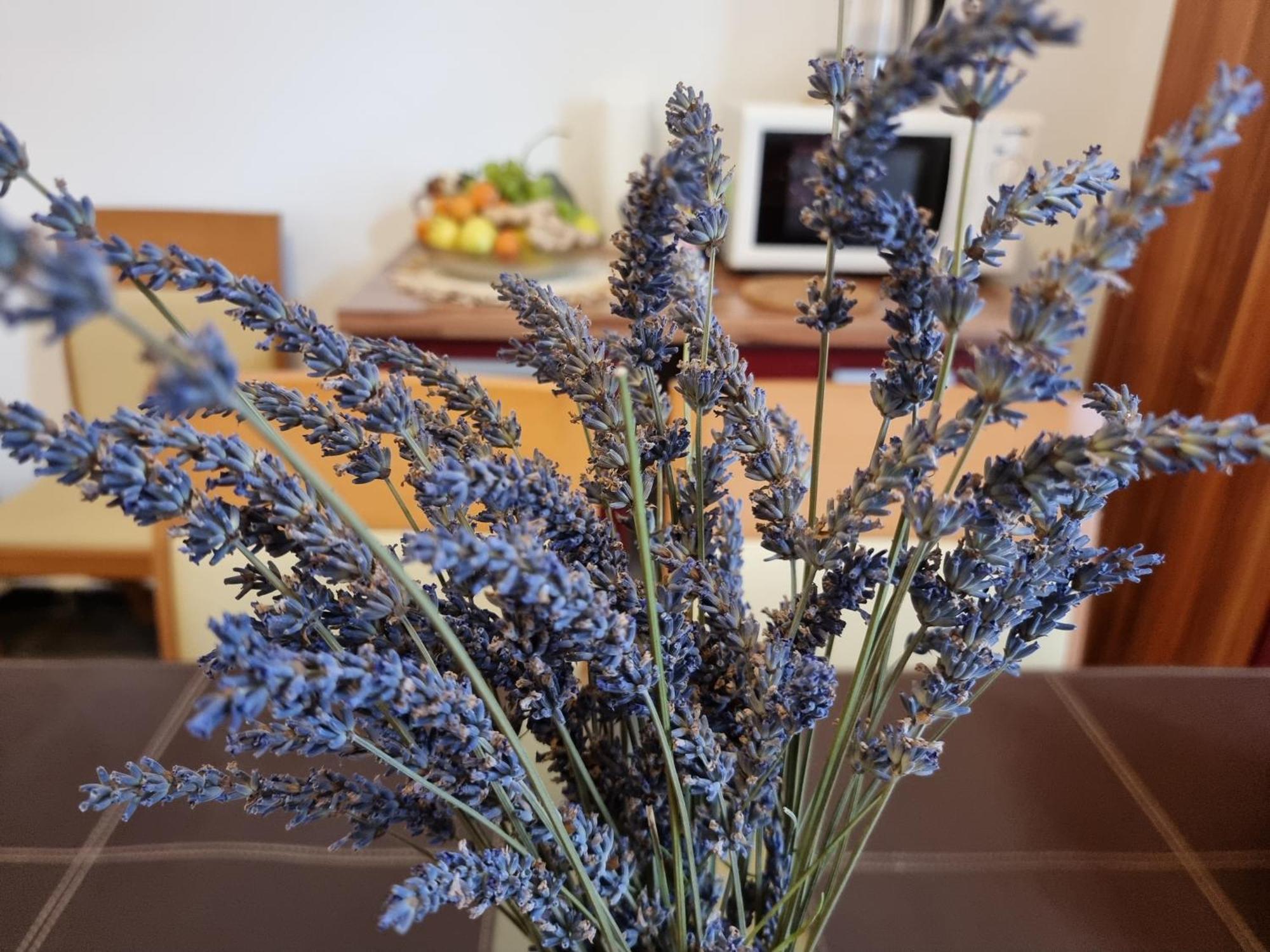***Apartment Magic &Summervibes*** Rijeka Luaran gambar